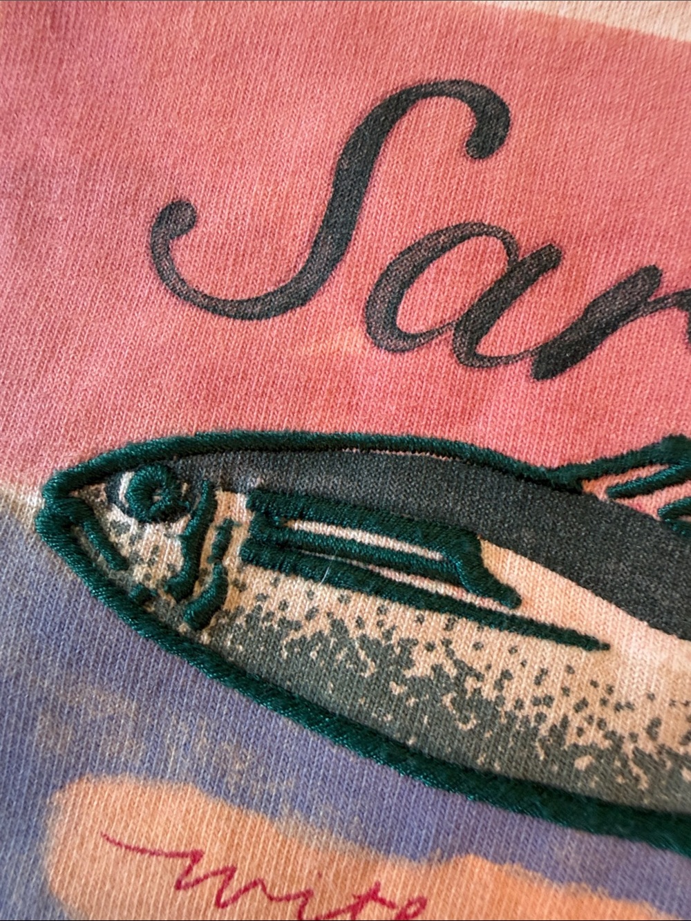 J. Crew Light Pink 'Sardines' Graphic Short Sleeve Tee - Picture 4 of 4